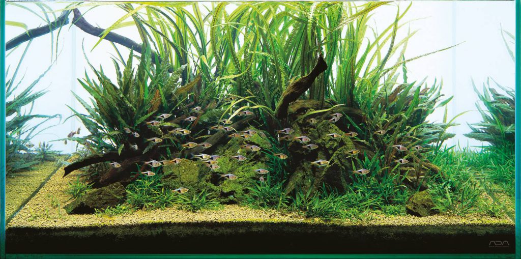 ada-aqua-soil-aquarium-substrate
