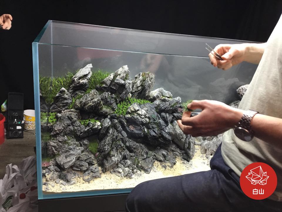 aquascaping-event-live