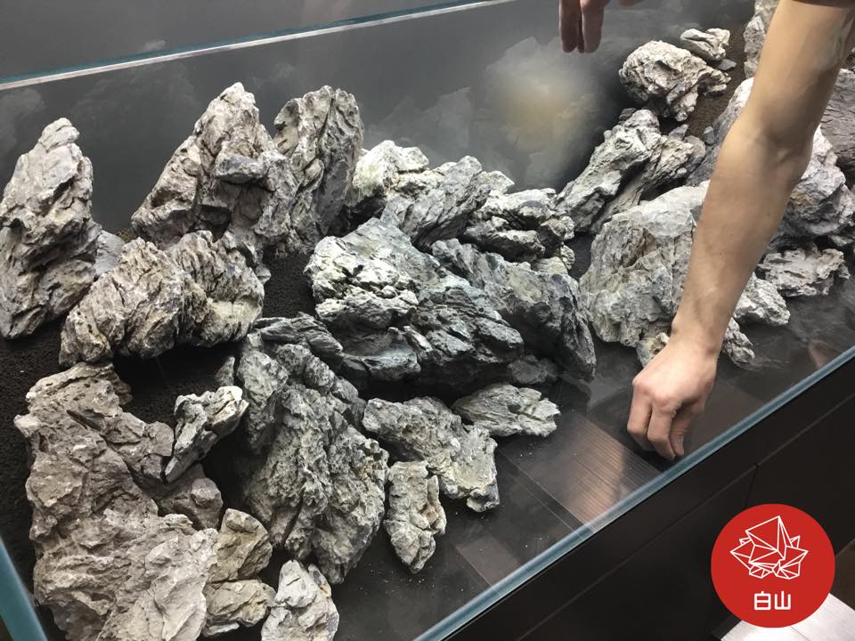 aquascaping-event-live