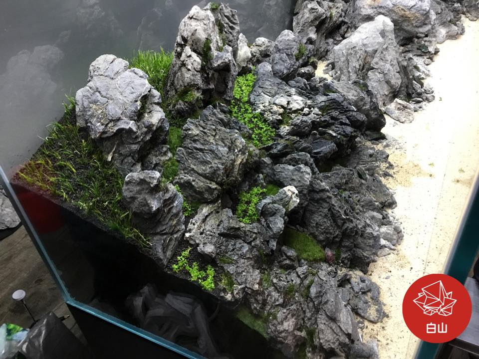 aquascaping-event-live