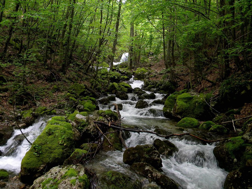 aquascaping-inspiration-nature-1