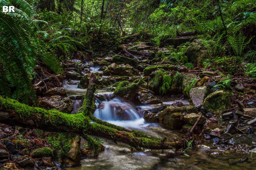 aquascaping-inspiration-nature-1