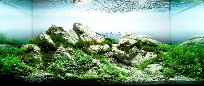 aquascaping-interview-diego-marinelli-italy