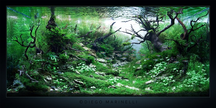aquascaping-interview-diego-marinelli-italy