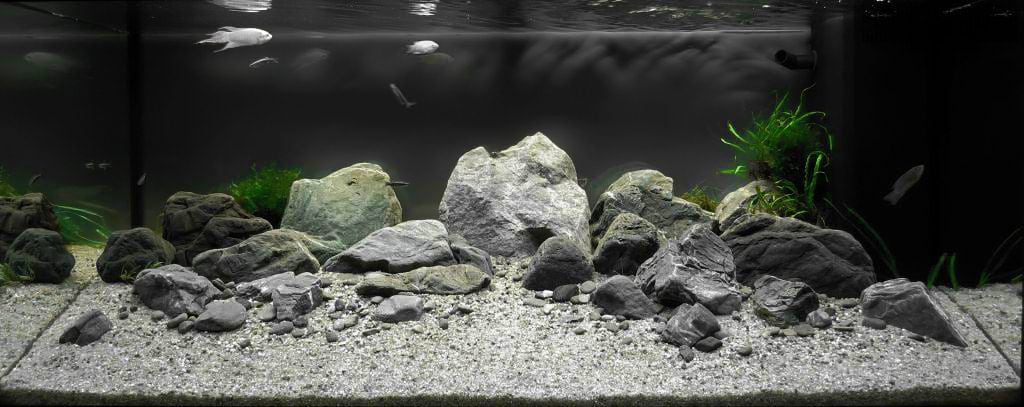 aquascaping-interview-romania-ionut-godea