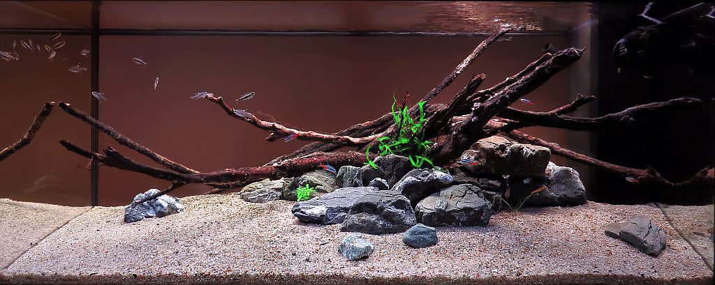 aquascaping-interview-romania-ionut-godea