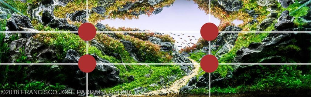 The Rule of Thirds applied to Aquascaping.
