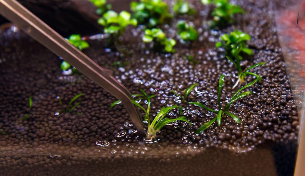 aquascaping-sand-aquarium-gravel