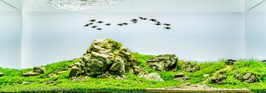 aquascaping-sand-gravel-7