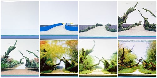 aquascaping-sand-slopes