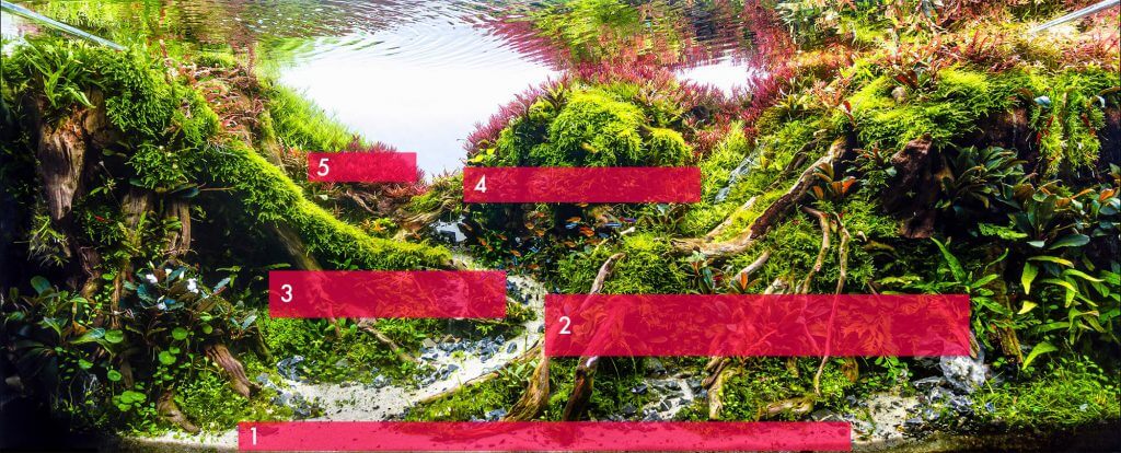 aquascaping-styles-nature-aquarium-layers