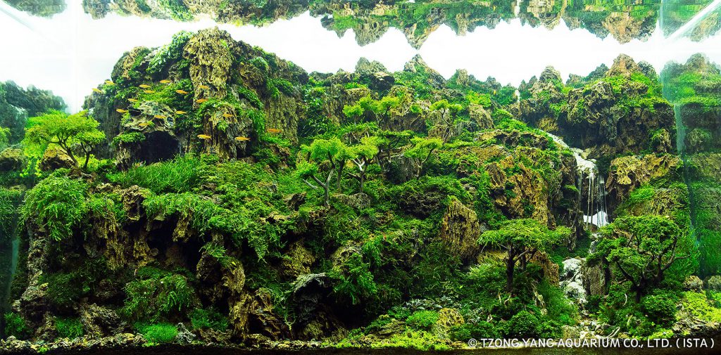 aquatic-moss-aquascaping-5