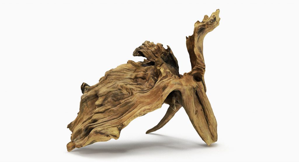bogwood-driftwood-aquascaping