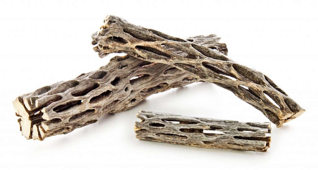 cholla-wood-aquascaping