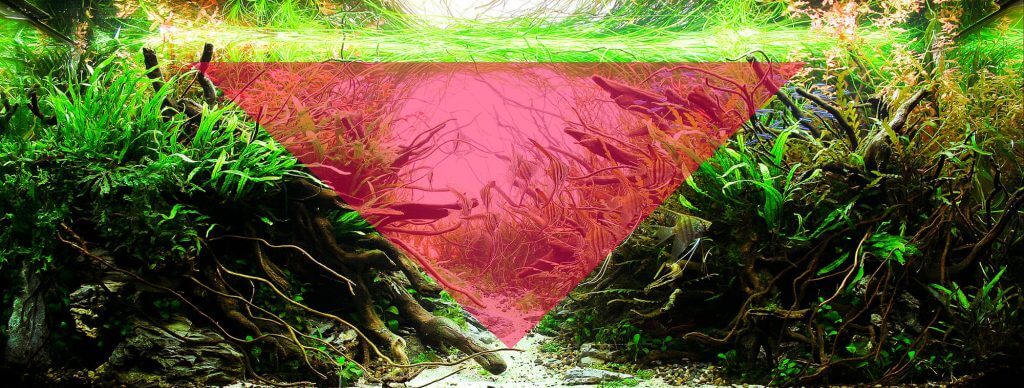 concave-shape-aquascaping