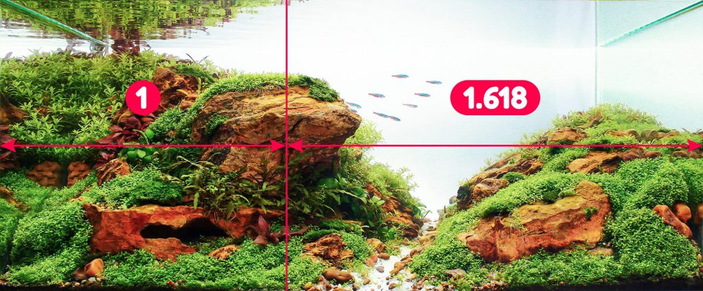 The Golden Ratio in Aquascaping.