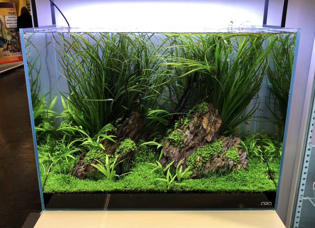 jurijs-aquascaping-interview-2