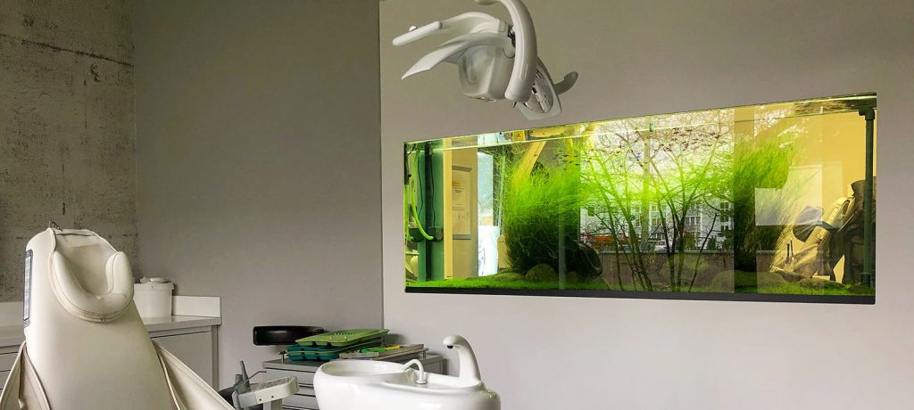 jurijs-aquascaping-interview-3