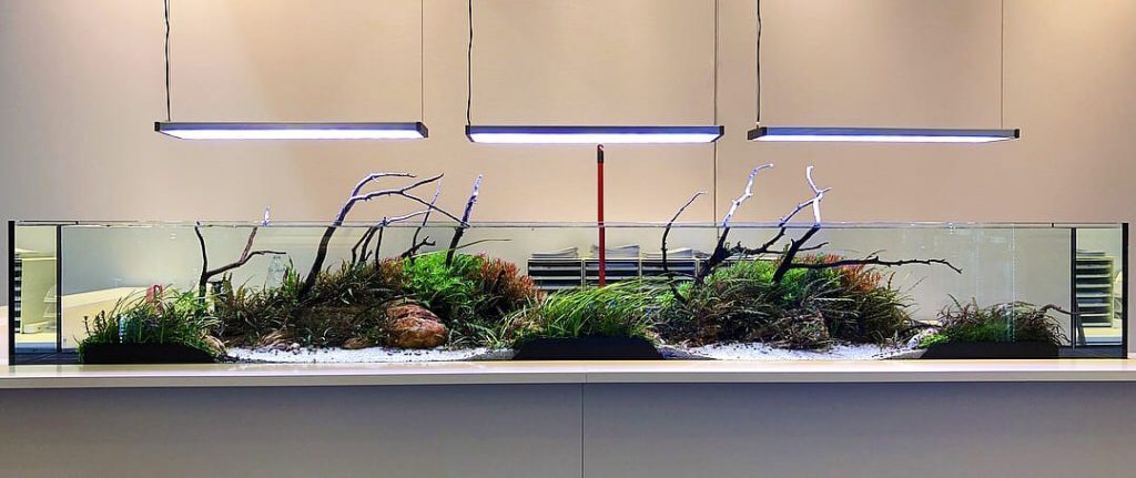 jurijs-aquascaping-interview-5
