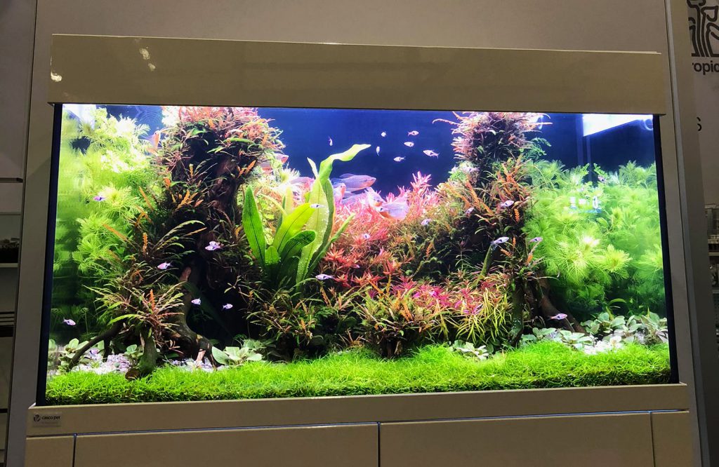 jurijs-aquascaping-interview-6