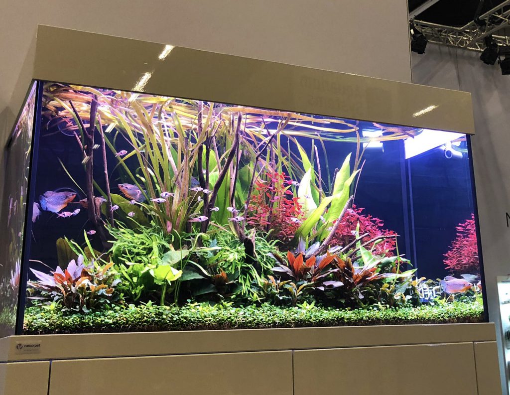 jurijs-aquascaping-interview-7