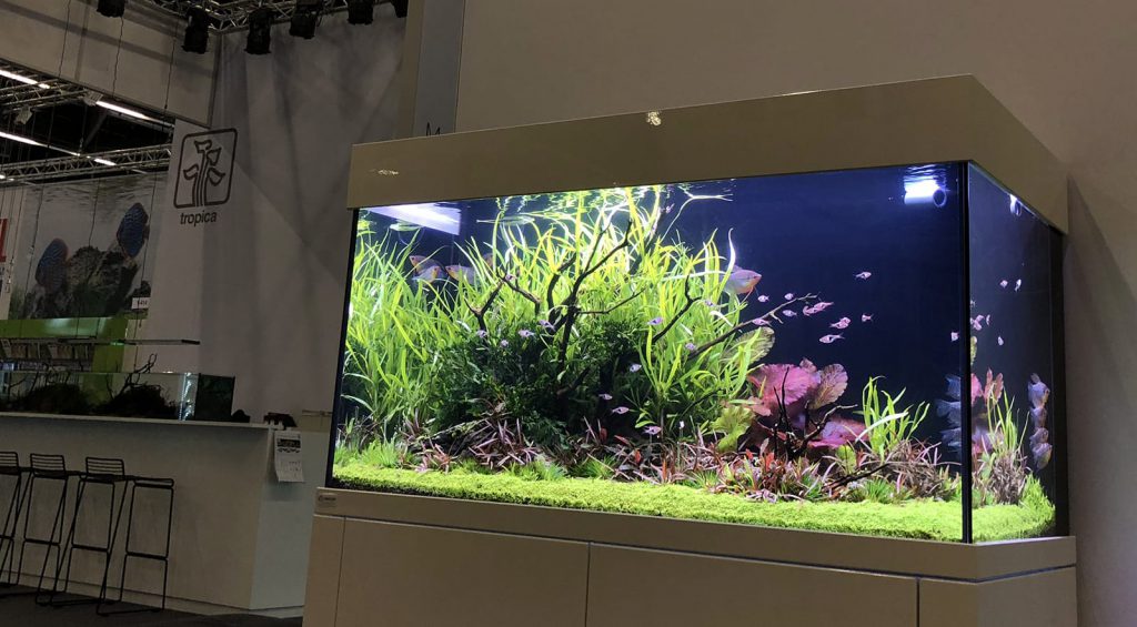 jurijs-aquascaping-interview-8