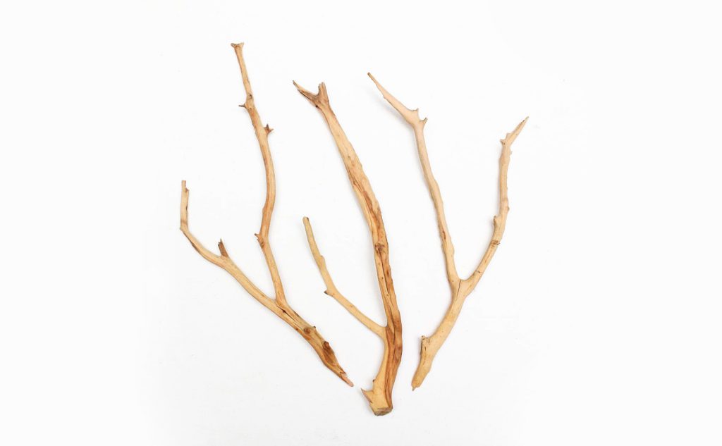 manzanita-driftwood-aquascaping-1