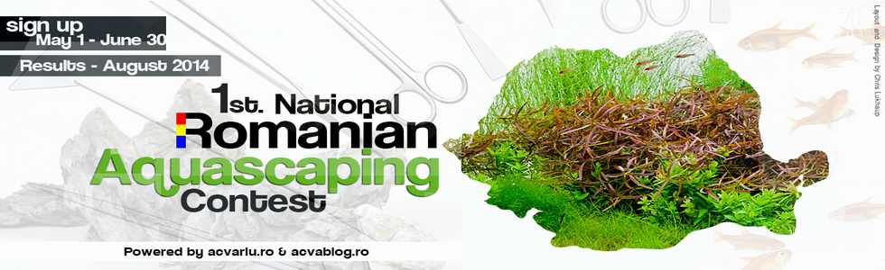 Romanian Aquascaping Contest – 1st Edition Results
