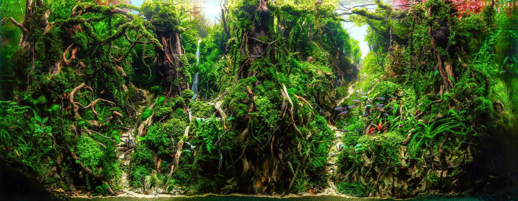 nature-aquarium-aquascaping-style