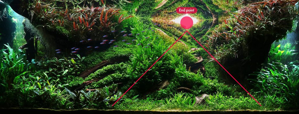 nature-aquarium-perspective-in-aquascaping