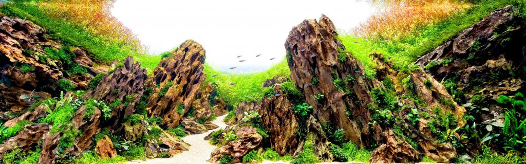 ohko-dragon-stone-aquascaping-rocks-aquascape
