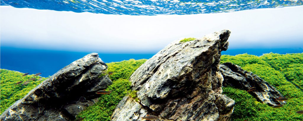 rocks-used-in-aquascaping-1