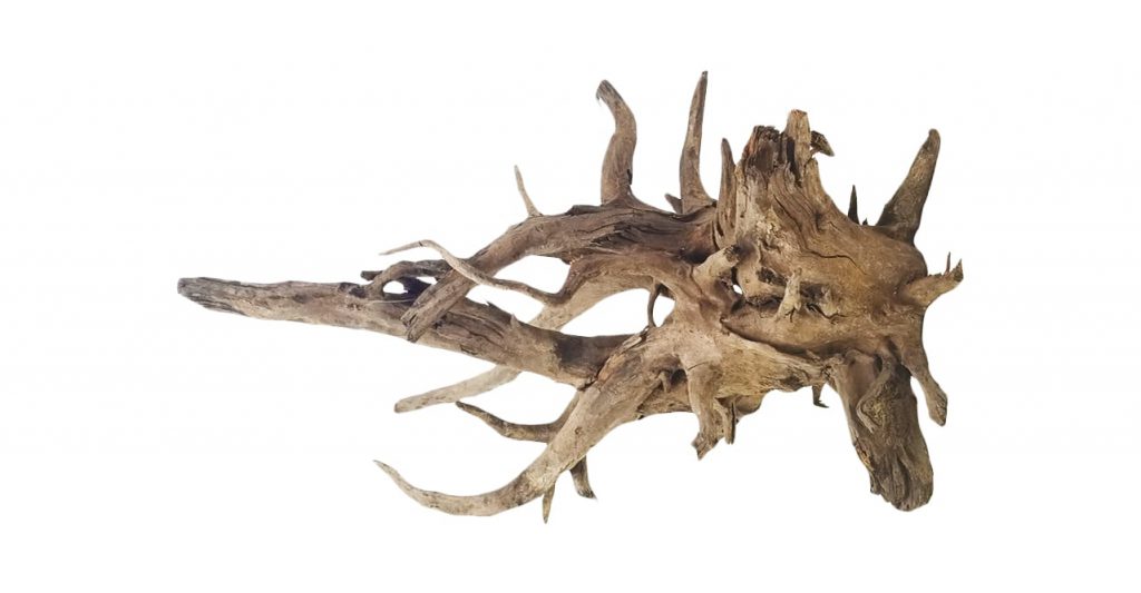 saba-driftwood-aquascaping
