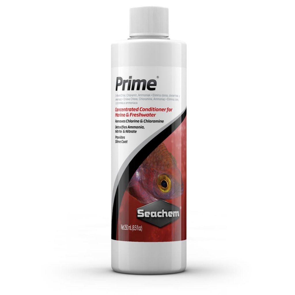 Use Seachem Prime to Get Rid of Chloramine.