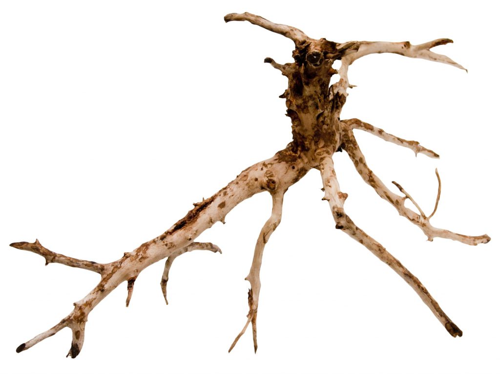 sumatra-driftwood-aquascaping