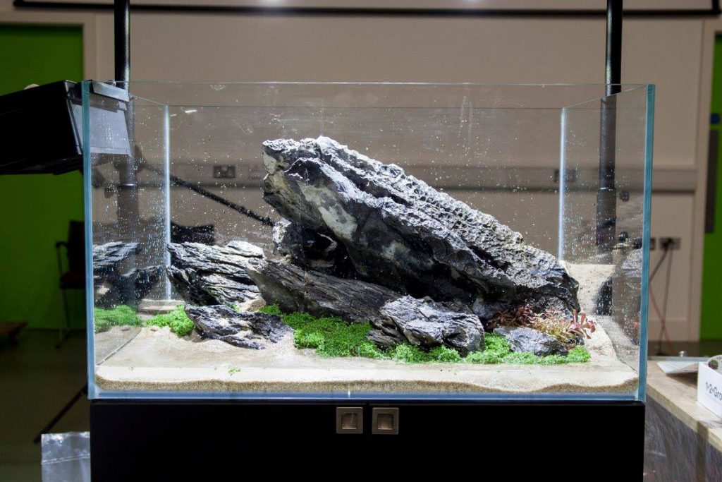 aquascaping event ukaps united kingdom
