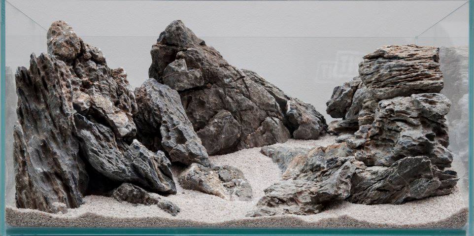 aquascaping event ukaps united kingdom