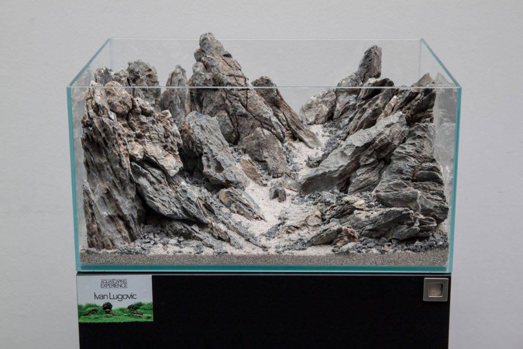 aquascaping event ukaps united kingdom