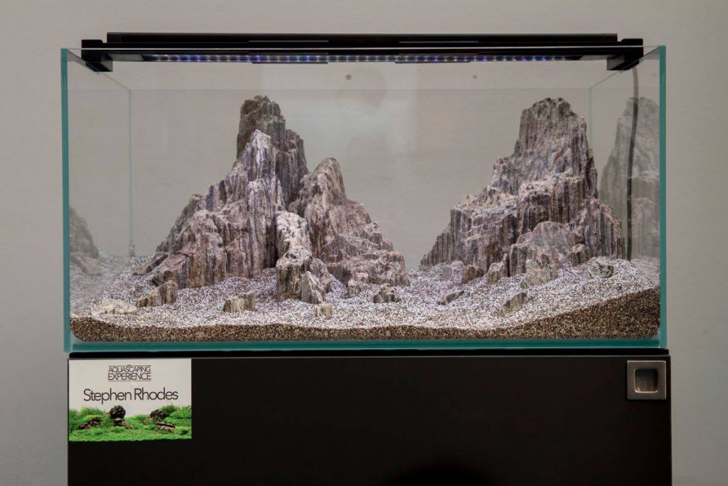 aquascaping event ukaps united kingdom