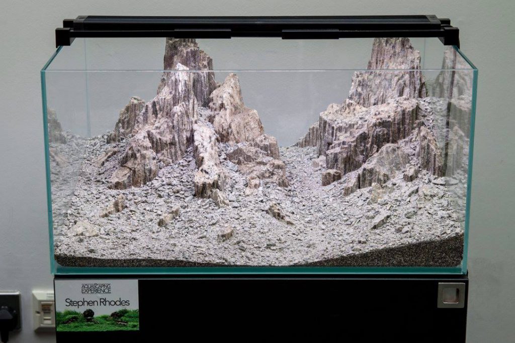 aquascaping event ukaps united kingdom