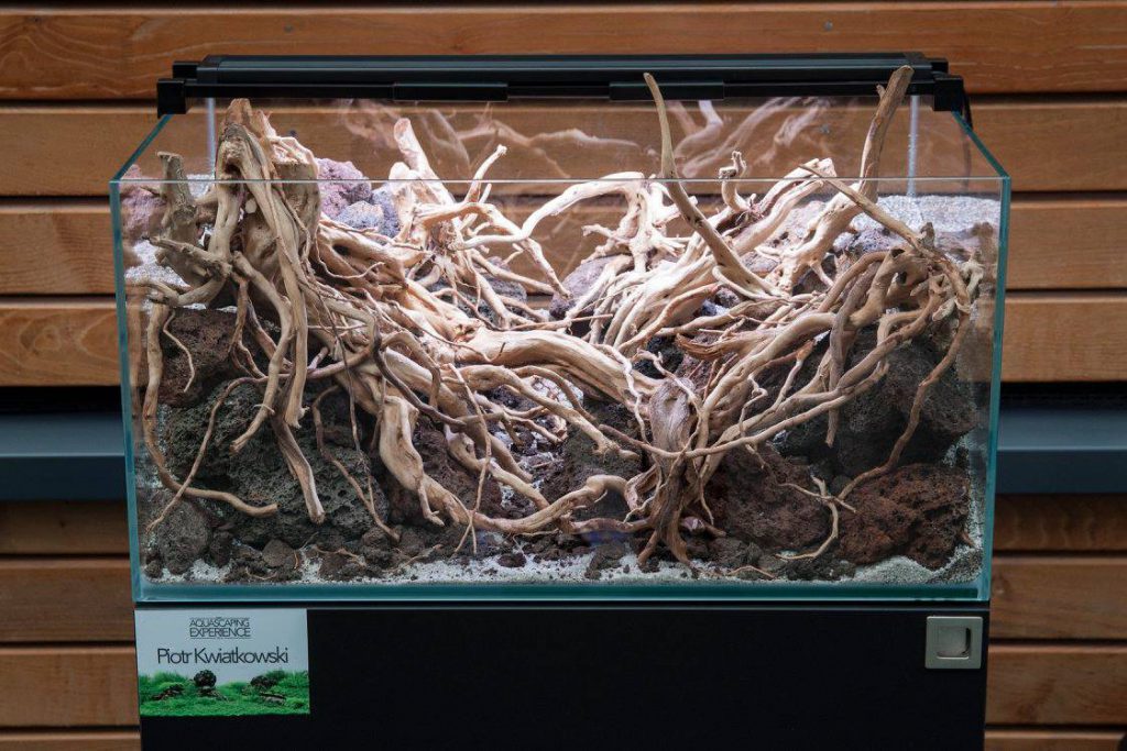 aquascaping event ukaps united kingdom