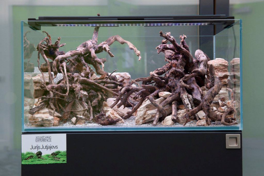 aquascaping event ukaps united kingdom