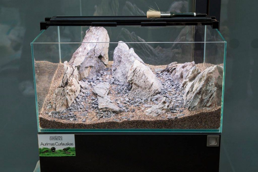 aquascaping event ukaps united kingdom