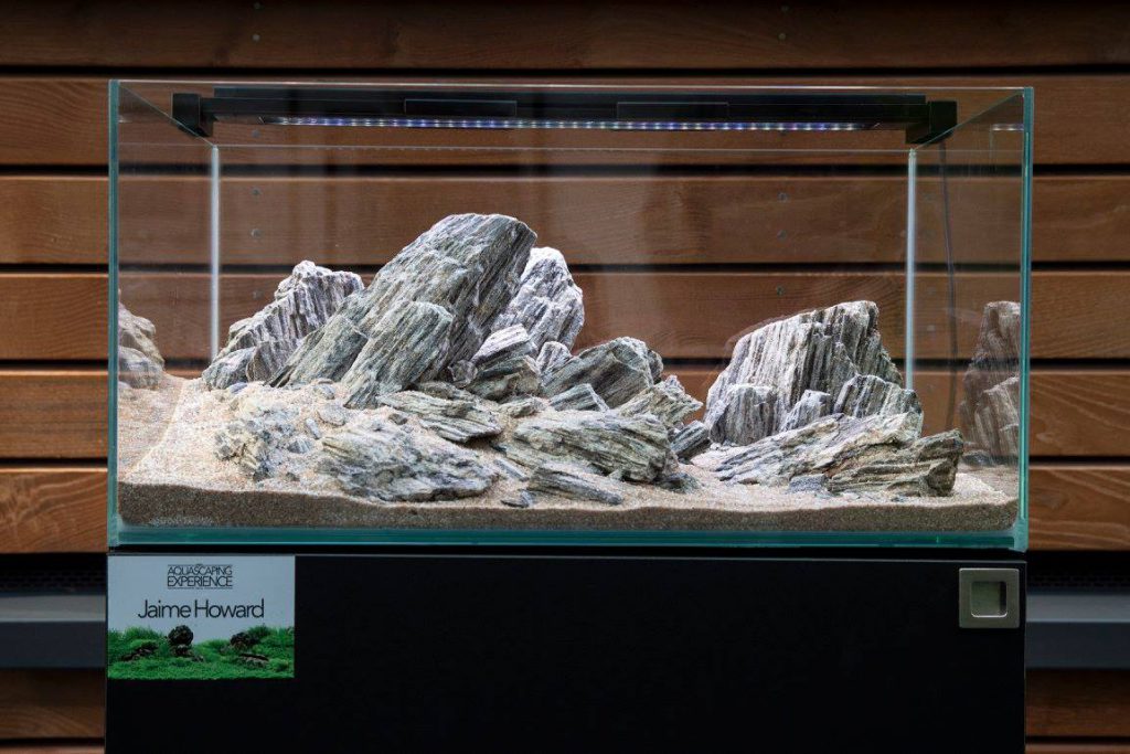 aquascaping event ukaps united kingdom