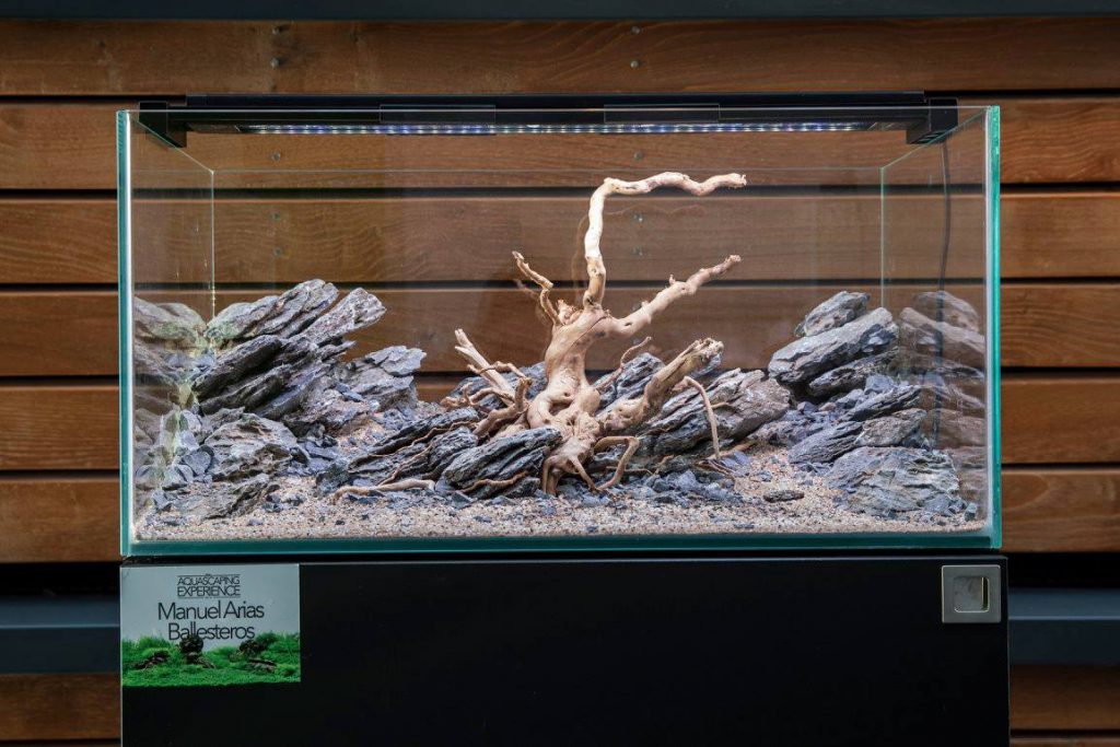 aquascaping event driftwood rocks