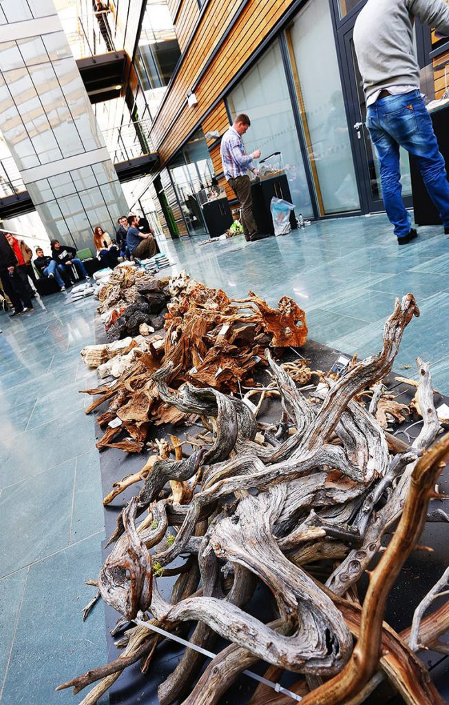 aquascaping event ukaps united kingdom