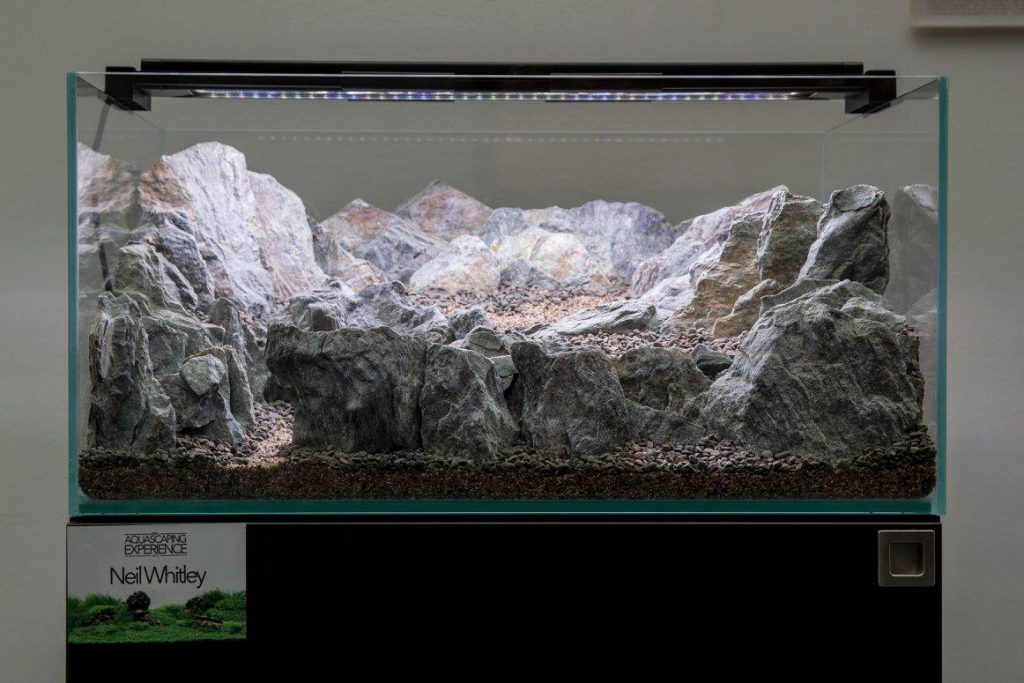 aquascaping event aquascaping stones