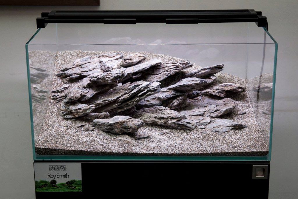 aquascaping event ukaps rocks