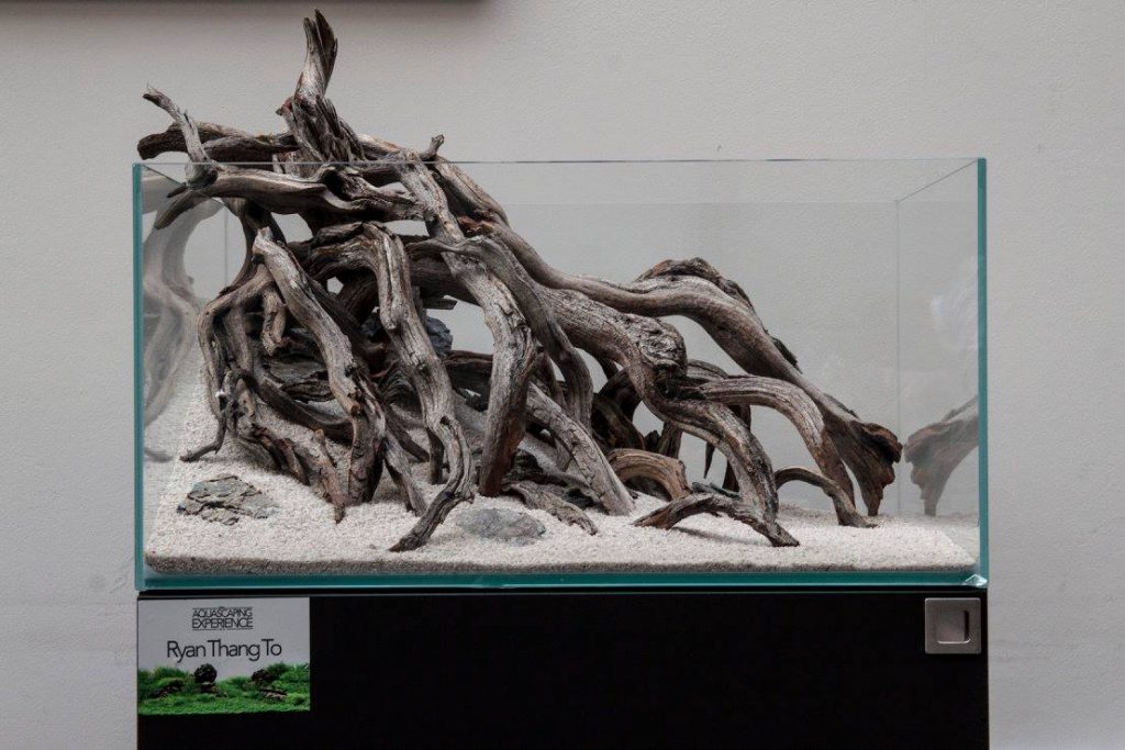 aquascaping event driftwood