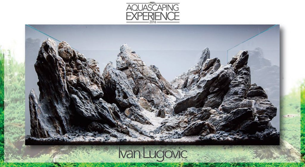 ukaps-Aquascaping-Experience-2016-rank-1